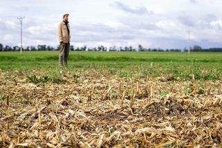SOS Krajina: Člověk v tísni spouští sbírku na záchranu české přírody - Novinky